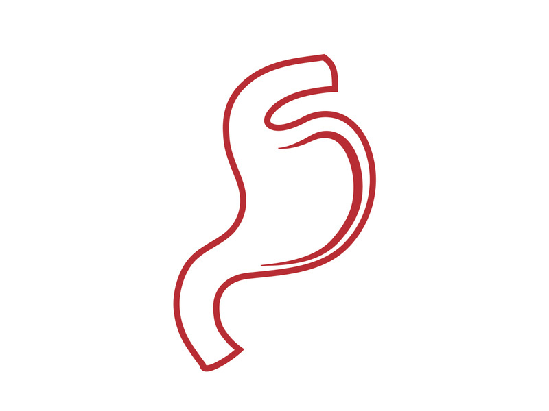 Stomach logo