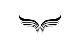 Wing Bird logo images illustration design