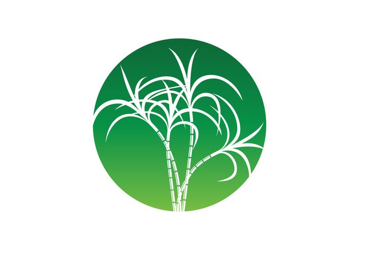 Sugarcane logo vectcr