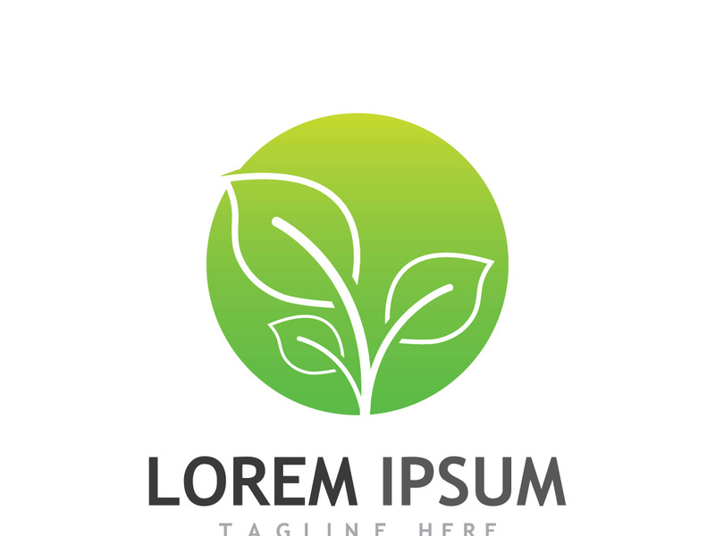 Natural green leaf logo design.