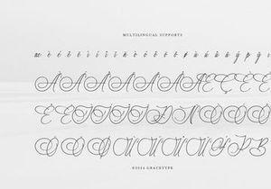 Marseliyon | Elegant Signature Script