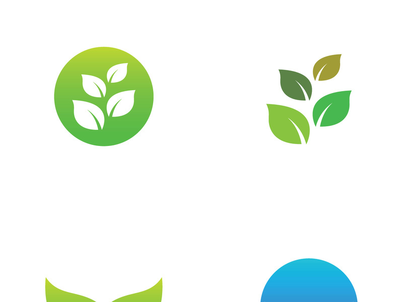 Natural green leaf logo design.