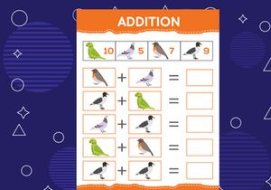 Addition with different birds for kids. An educational worksheet for kids. Vector design