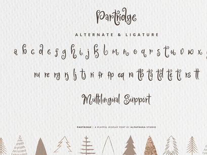 Partridge - Playful Font