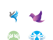 Dove bird logo vector design illustration