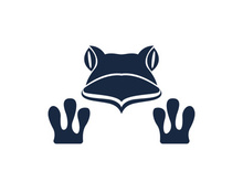 Frog icon logo for design