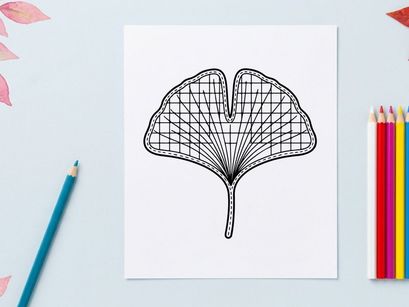 Close-up of a ginkgo leaf with detailed vein structure. Botanical illustration showcasing natural leaf patterns.