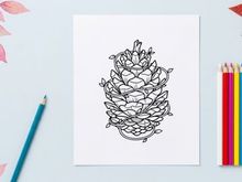 Decorative pine cone arrangement for home decor. Natural botanical centerpiece with rustic charm.