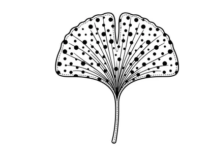 Stylized Ginkgo Leaf Illustration for Nature and Botanical Design. Artistic botanical graphic with detailed leaf pattern, ideal for eco-friendly br...