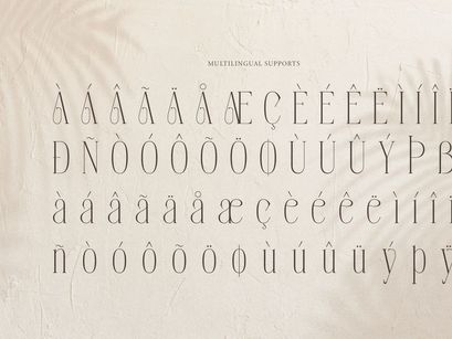 Orlevin | New Modern Serif