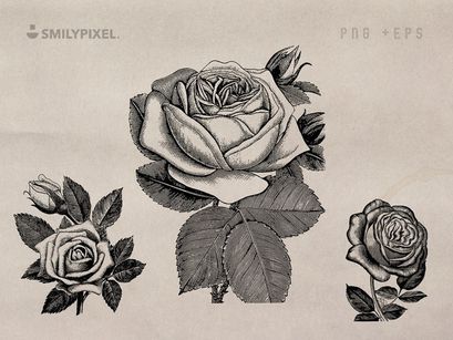 Free Vintage Roses Illustration