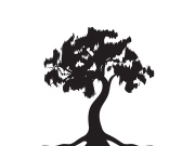 Root Leaf Family Tree of Life Oak Banyan Maple Stamp Seal Emblem Label logo design vector