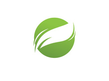 Green leaf logo  Nature icon design