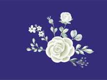 Vector Flower Watercolor Illustration