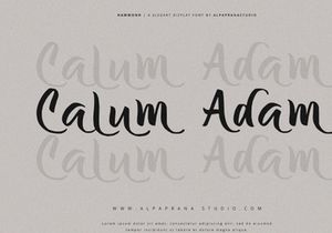 Hammond - Elegant Display Font