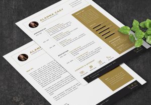 Clean CV Resume Template - Manager