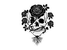 Silhouette skull with roses and roots silhouette