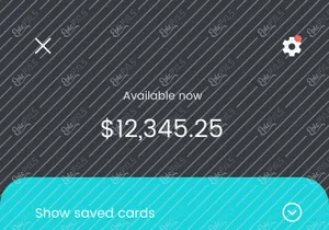 Add payment methods with 2 options