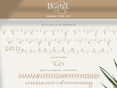 Renitah - Lovely Script Font