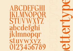 Lettertype – Editorial 90s Serif Font with Alternates