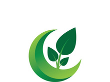 Logos of green tree leaf ecology nature element vector