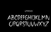 Blank Street - Hand Drawn Brush Font