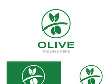 Olive fruit logo design.