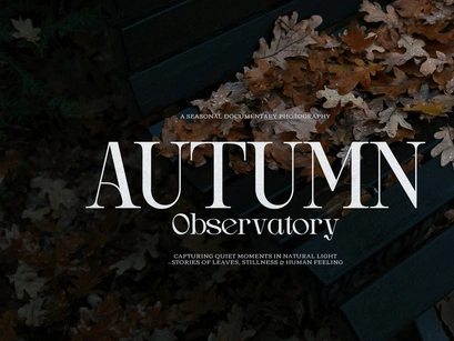 Drogel | Display Serif Font