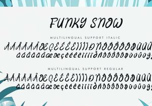 Funky Snow