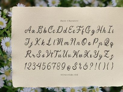 Yinderia | Handwritten Vintage Script
