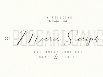 Morris Signature Script Font preview picture