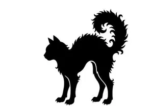 Silhouette eines neugierigen Katers mit flauschigem Schwanz auf weißem Hintergrund