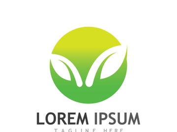 Colorful natural leaf logo design. preview picture