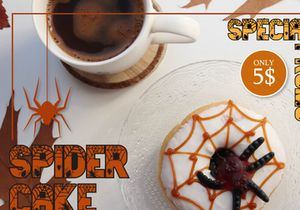 Spider Webs