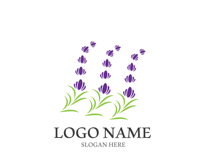 Lavender flower vector icon illustration design template