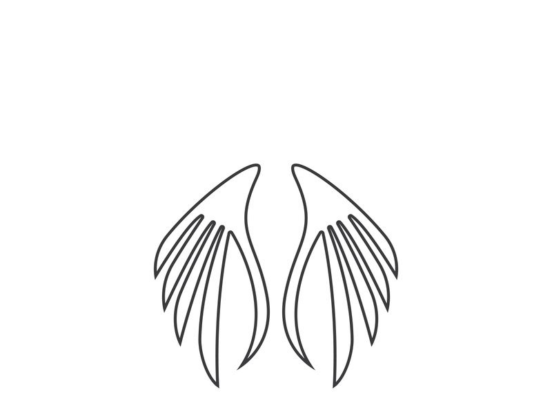 wing Logo Template vector illustration design