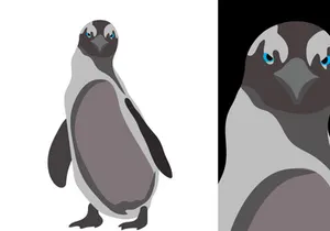 Penguins Vector Bundle