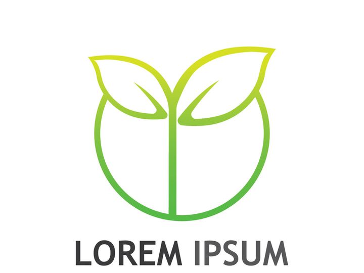 Colorful natural leaf logo design.