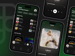 Music Player preview picture