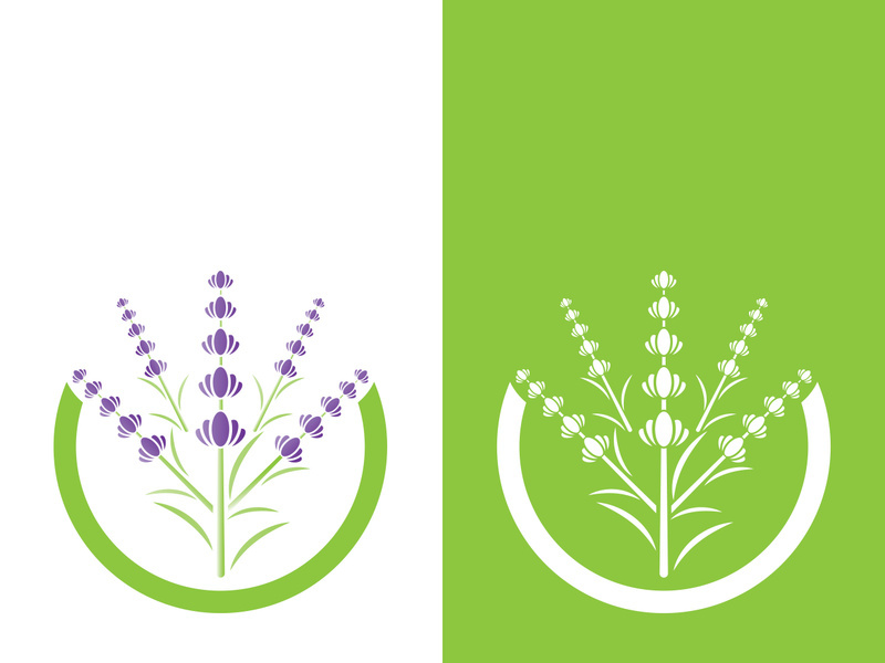 Fresh lavender flower logo vector flat design