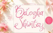 Beloga Shimtey