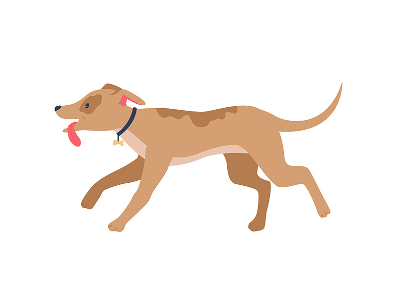 Running happy houd in collar flat color vector detailed ~ EpicPxls