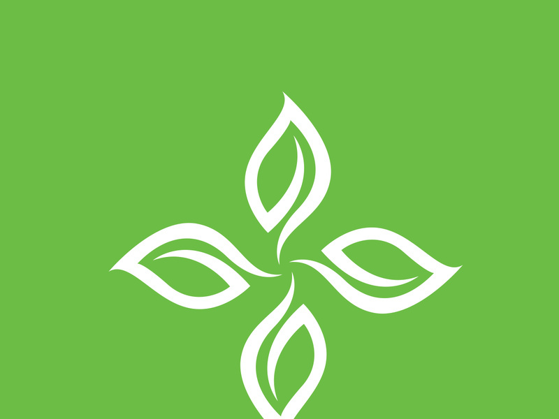 Leaf logo green nature vector image