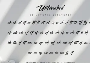 Untouched - Brush Script Font