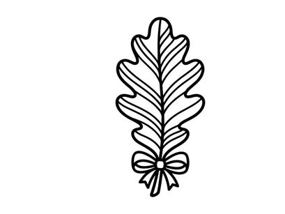 Close-up of an oak leaf with detailed vein structure. Natural botanical illustration for environmental or nature projects.