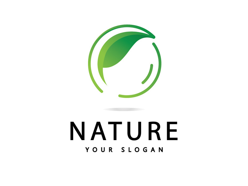 Green leaf logo  Nature icon design