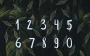 Beautify your text with leafy free brush font | EpicPxls