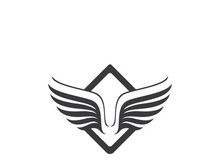 Wing illustration logo and symbol vector