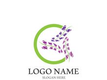 Lavender flower vector icon illustration design template