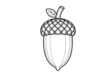 Hand-drawn acorn illustration for nature and autumn themes. Artistic botanical sketch for educational or design projects.